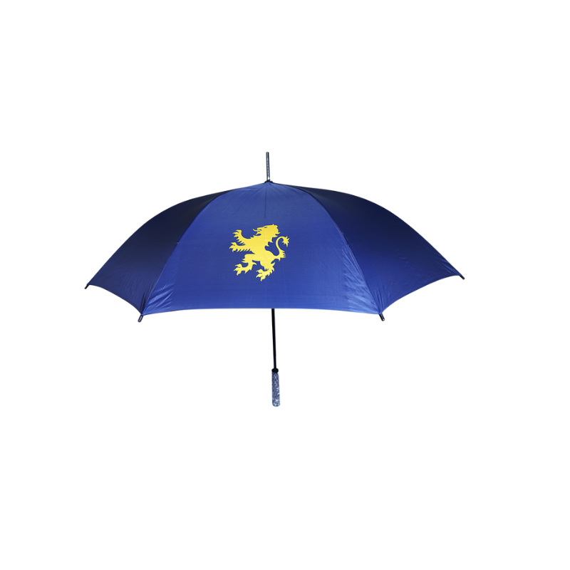 Budget Umbrella (PAT19)