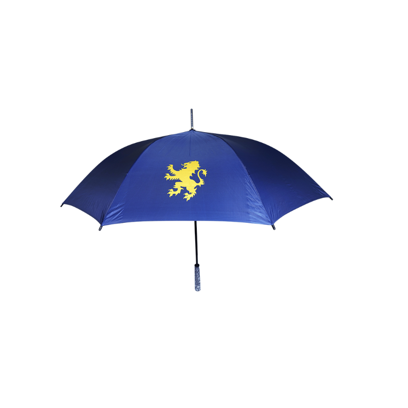 Curved handle umbrella ( PAT17 )
