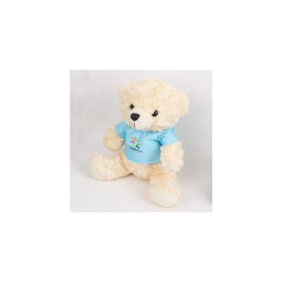 T-shirt Bear Plush Toy (PCPCPT020)