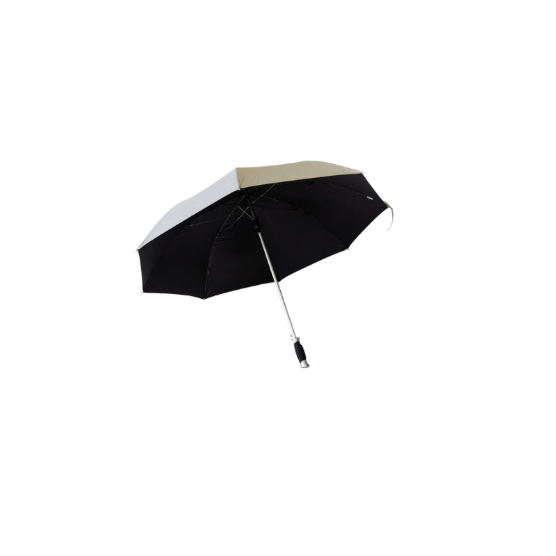 Silver Umbrella (PAT21)