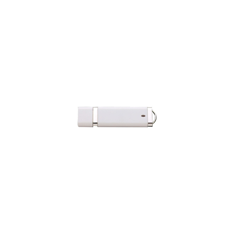 Classic Flash USB 2.0 (PAUO2)
