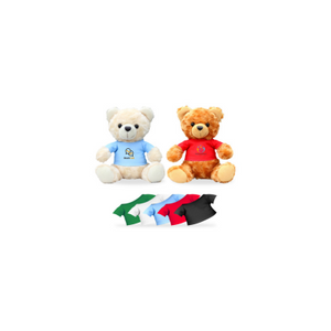 T-shirt Bear Plush Toy (PCPCPT020)