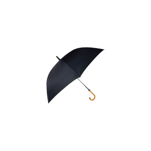 Curved handle umbrella ( PAT17 )