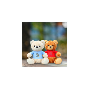 T-shirt Bear Plush Toy (PCPCPT020)