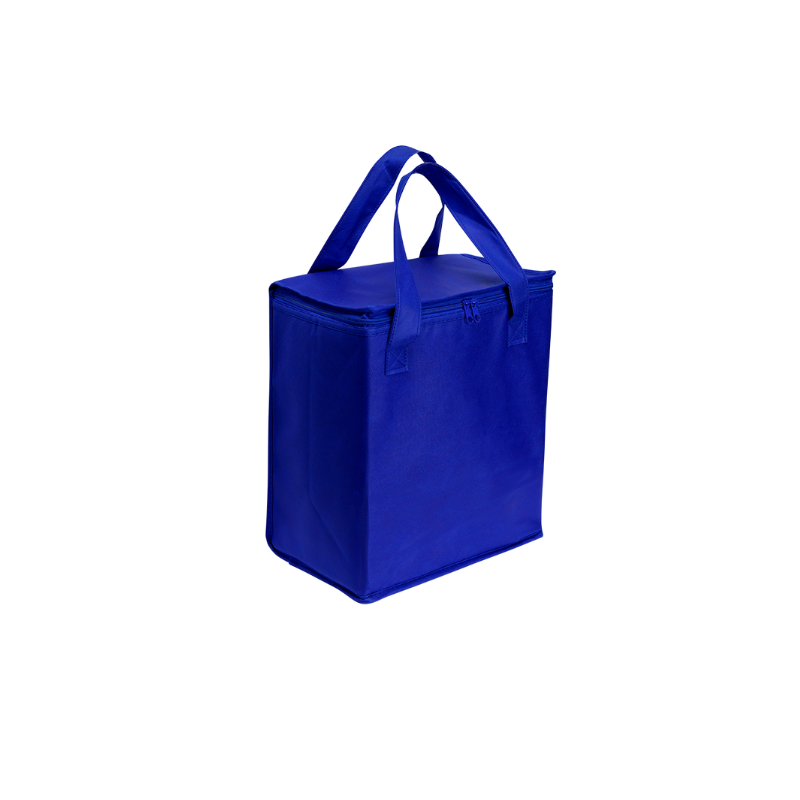 LARGE COOLER BAGS (PAB26D)