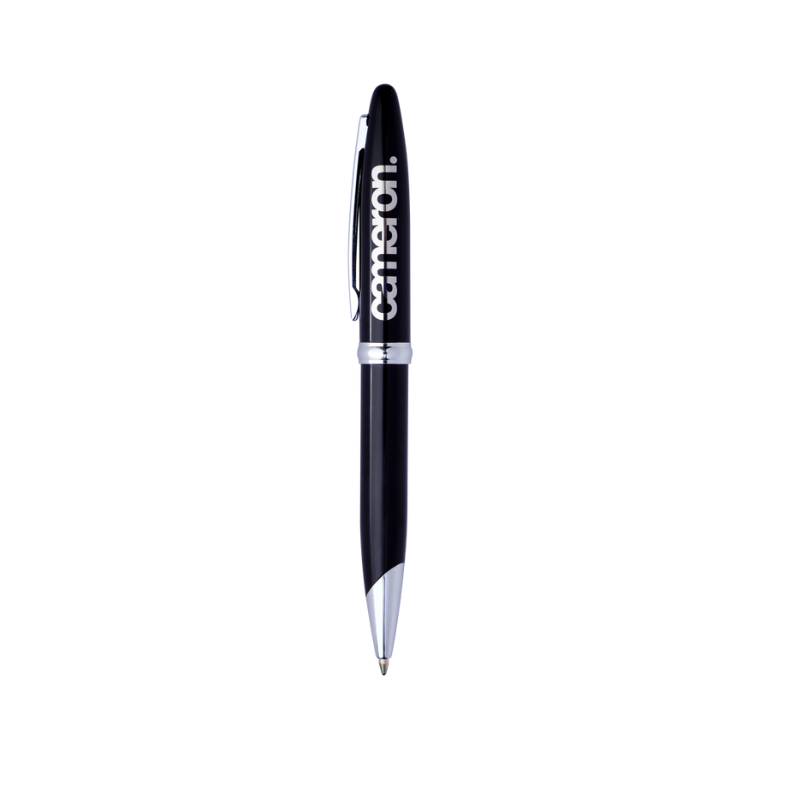 MASTER PENS (SILVER) (PAP94)