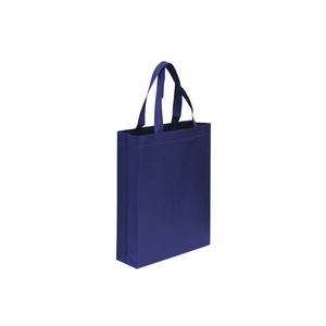NON WOVEN TRADE SHOW BAG (WITH GUSSET)(PAB05II)
