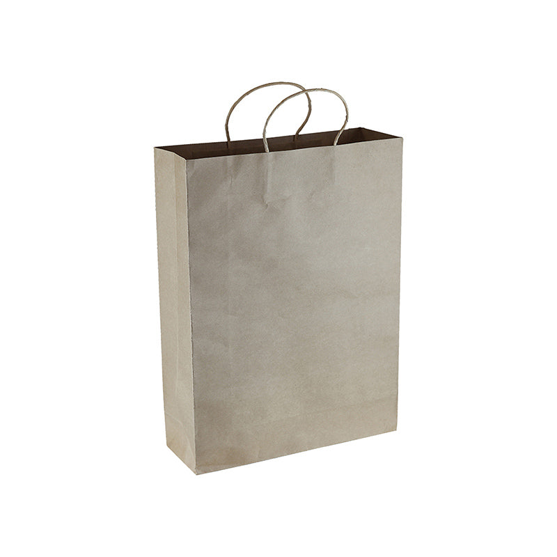 Paper Kraft Shopping Bag (DEPPB007)