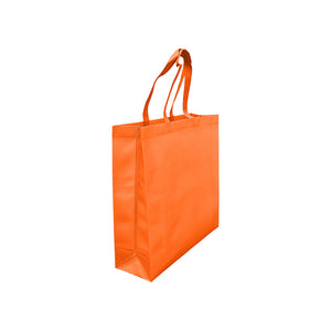 Laminated Non Woven Bag with Large Gusset (DELNWB004)