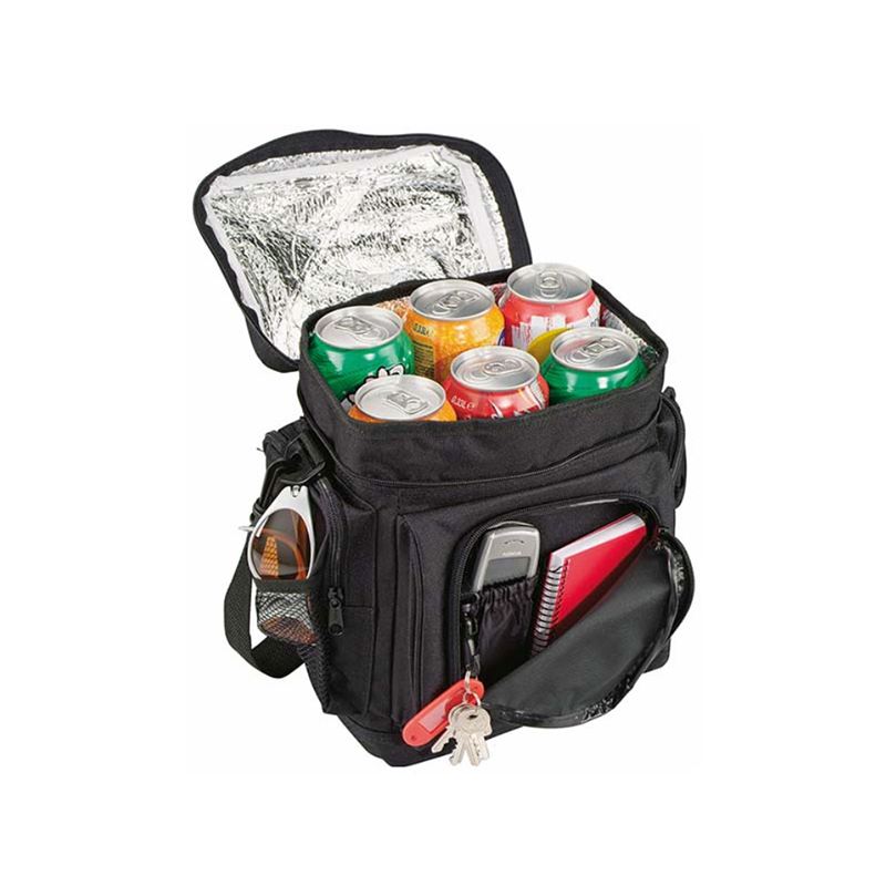 6 Can Cooler Bag (ORG1262)